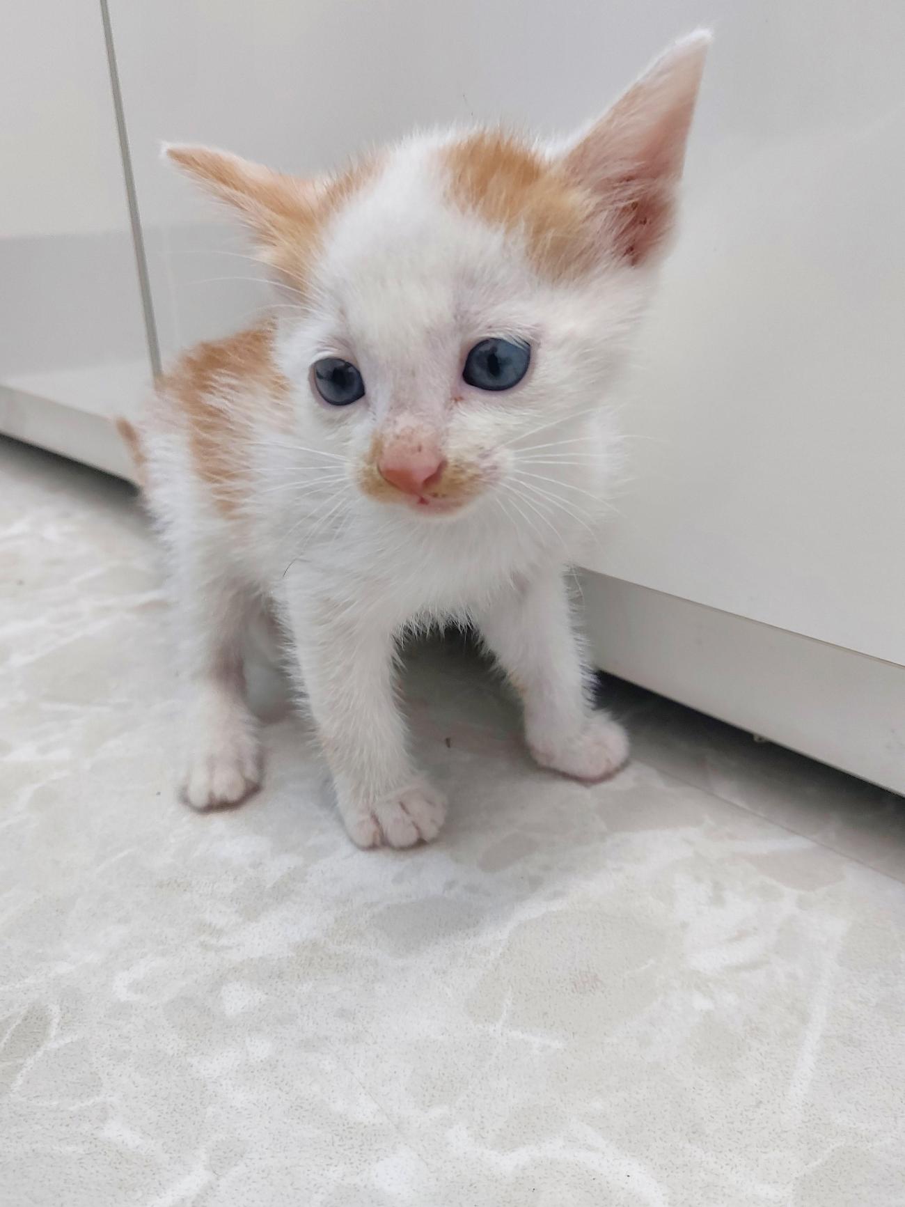 남해군동물보호센터_448543202500185